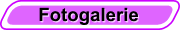 Fotogalerie
